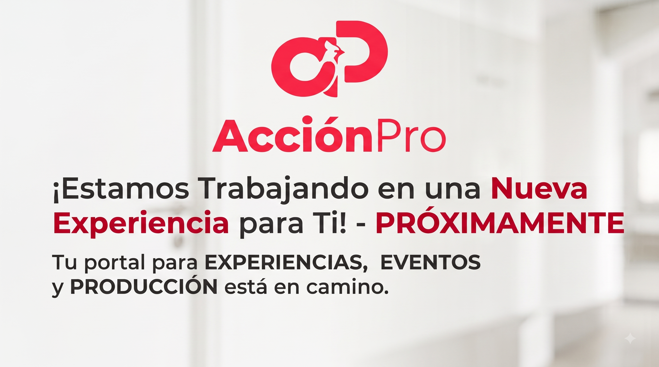 AcciónPro - Página en construcción